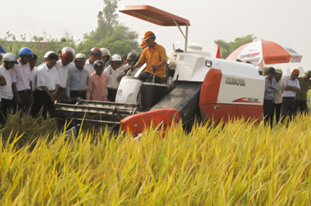 Tr&igrave;nh diễn m&aacute;y gặt đập li&ecirc;n hợp